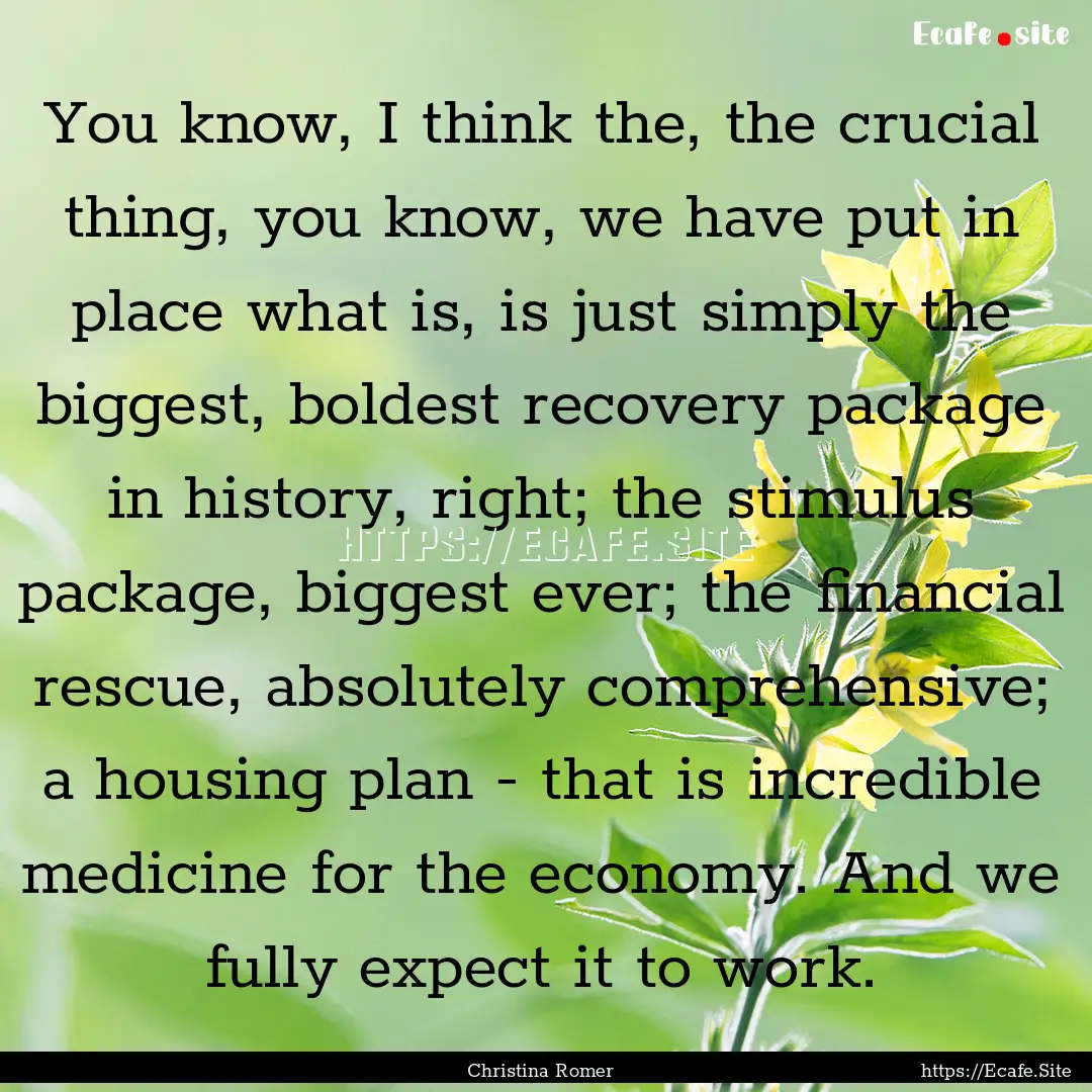 You know, I think the, the crucial thing,.... : Quote by Christina Romer