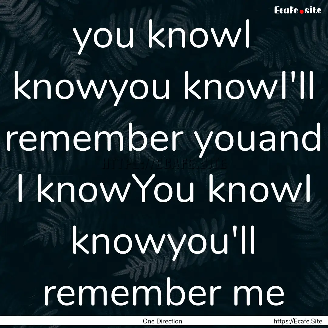 you knowI knowyou knowI'll remember youand.... : Quote by One Direction