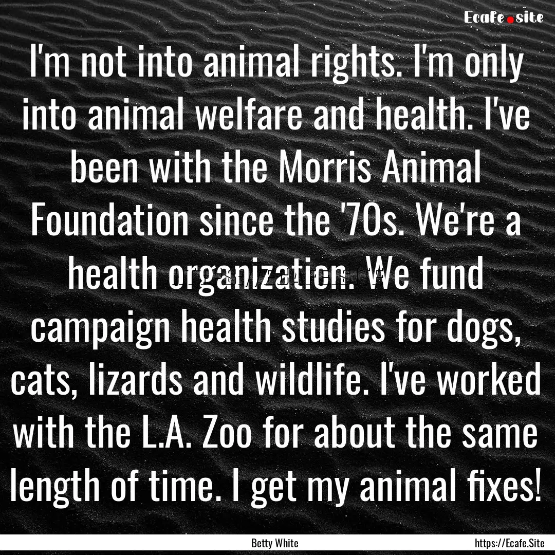 I'm not into animal rights. I'm only into.... : Quote by Betty White