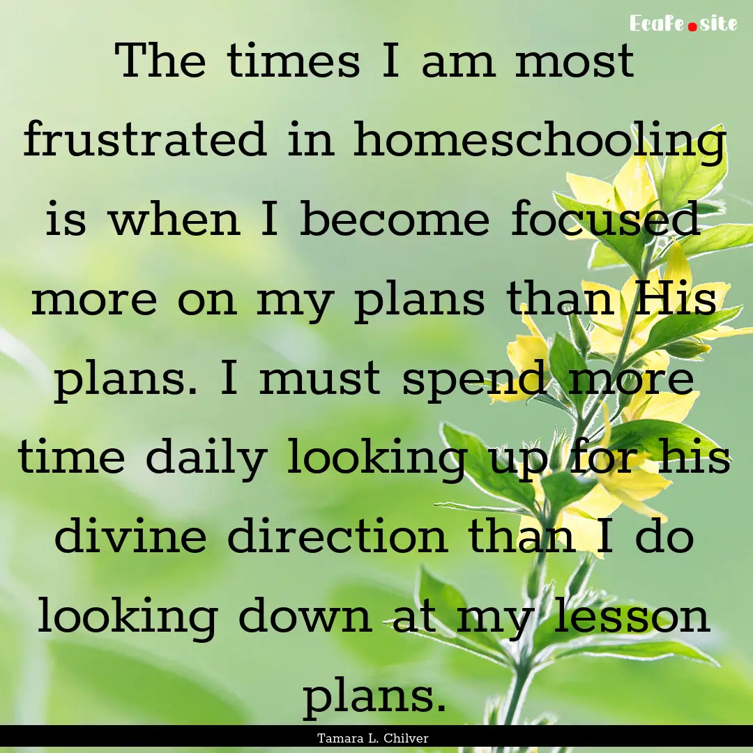 The times I am most frustrated in homeschooling.... : Quote by Tamara L. Chilver