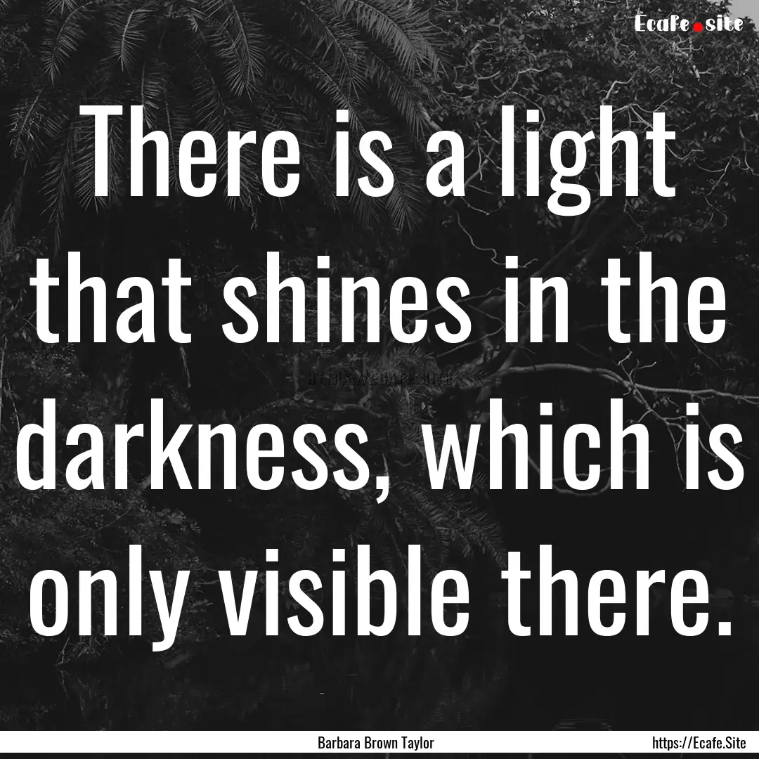 There is a light that shines in the darkness,.... : Quote by Barbara Brown Taylor