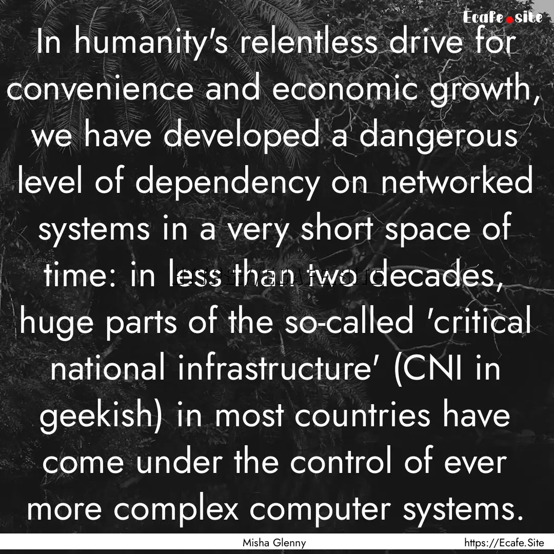 In humanity's relentless drive for convenience.... : Quote by Misha Glenny