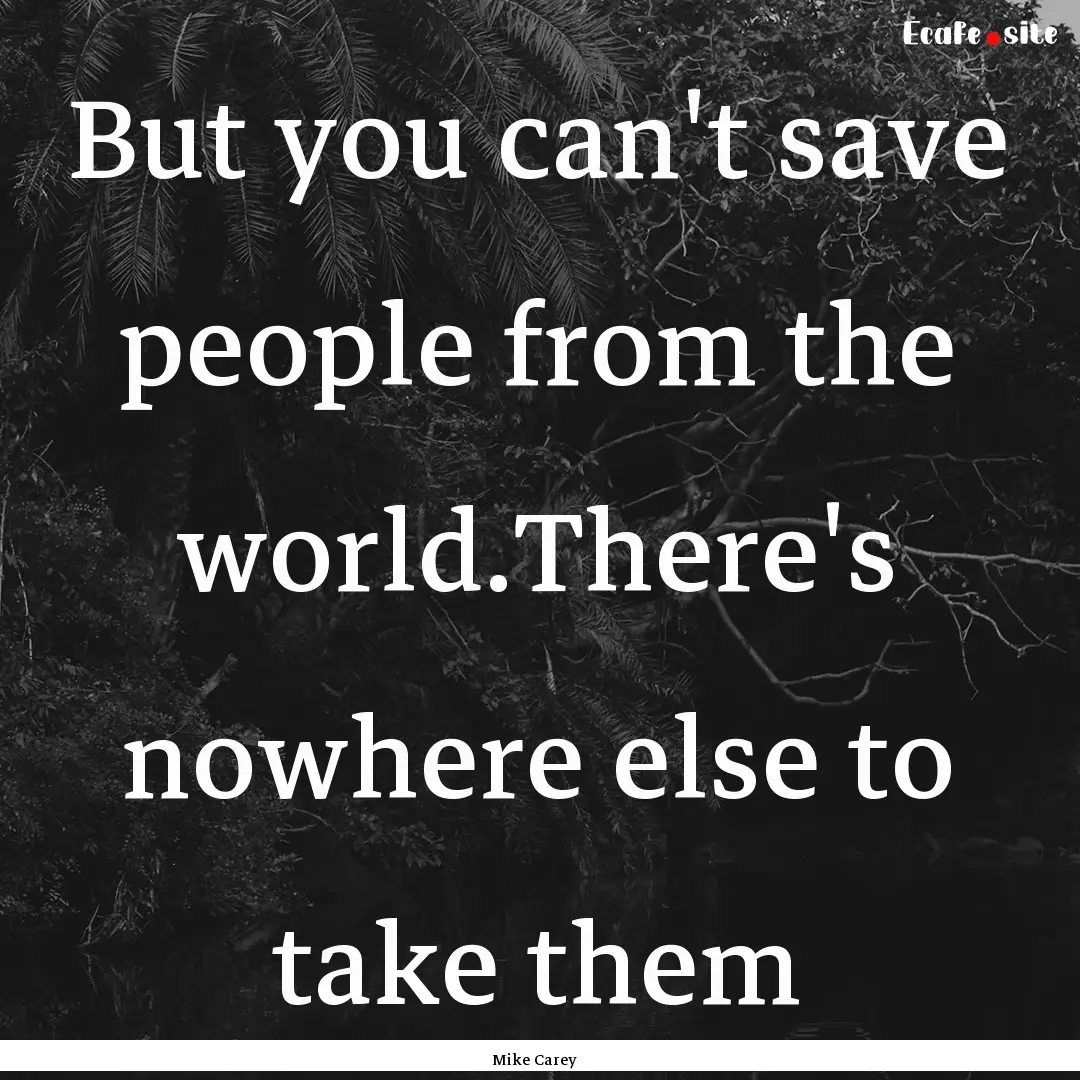 But you can't save people from the world.There's.... : Quote by Mike Carey