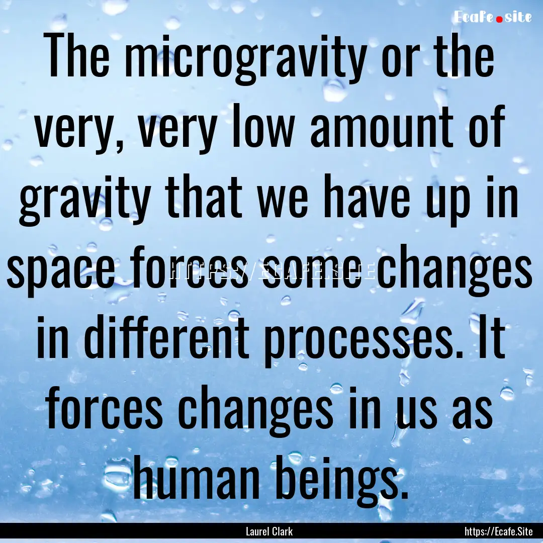 The microgravity or the very, very low amount.... : Quote by Laurel Clark