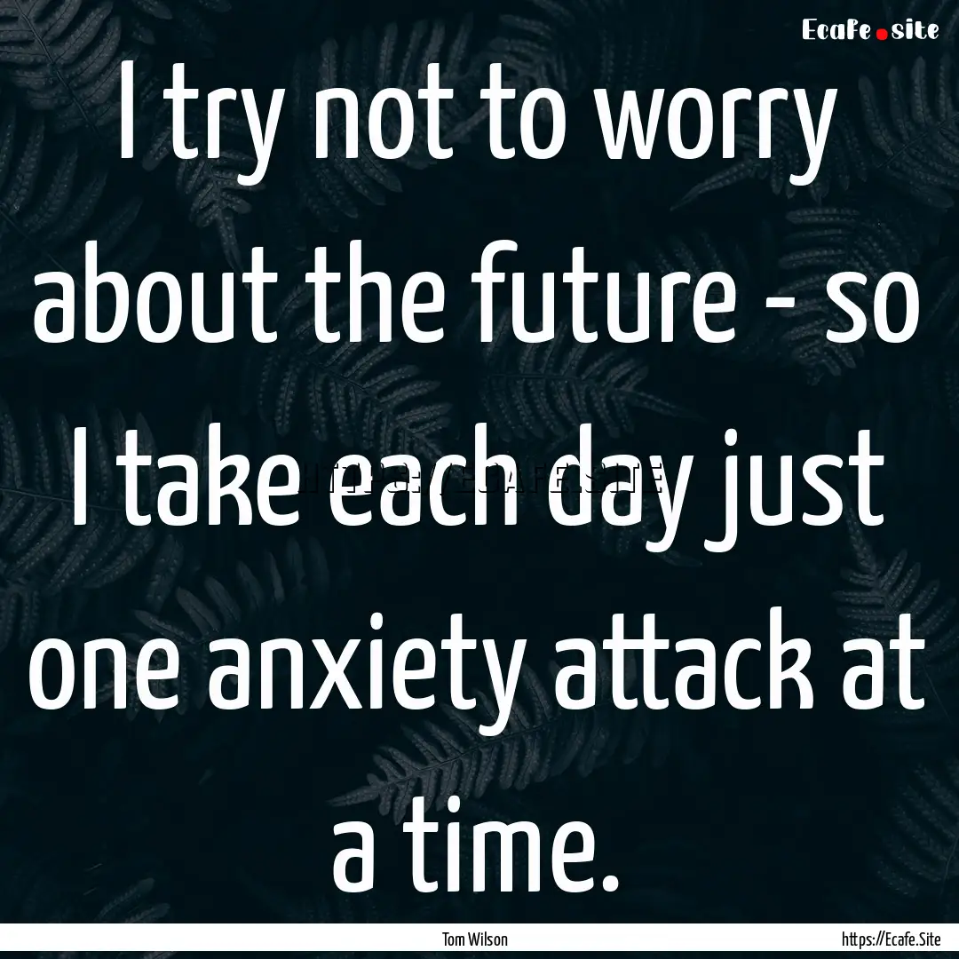 I try not to worry about the future - so.... : Quote by Tom Wilson