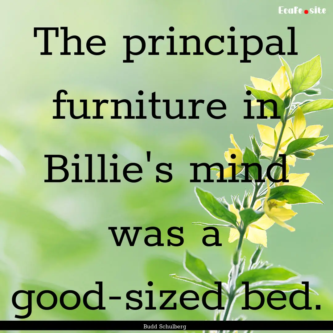 The principal furniture in Billie's mind.... : Quote by Budd Schulberg