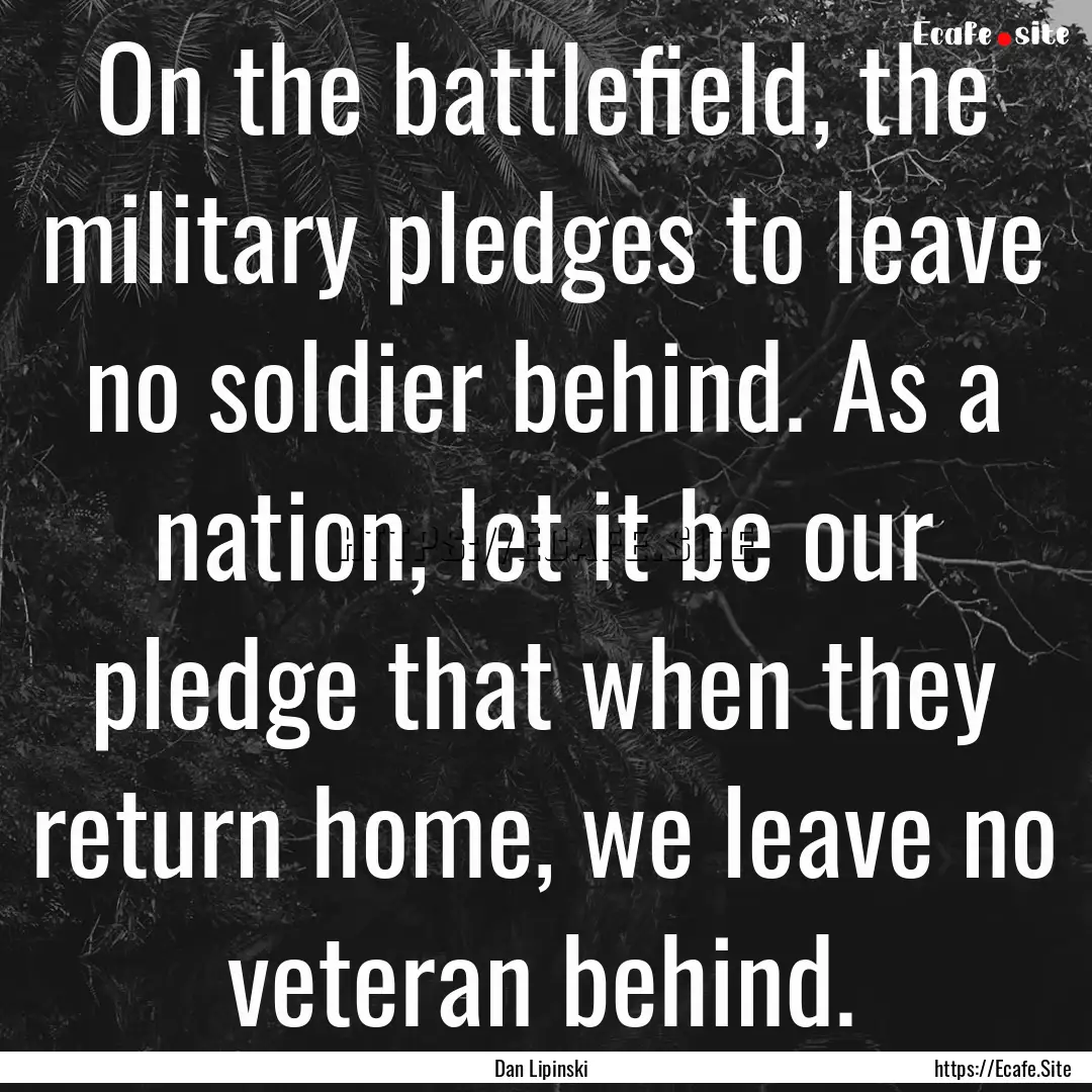 On the battlefield, the military pledges.... : Quote by Dan Lipinski