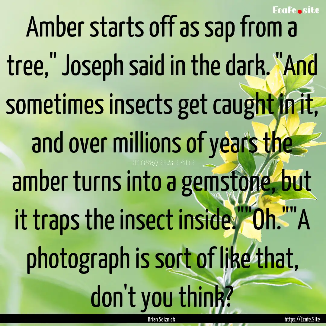 Amber starts off as sap from a tree,