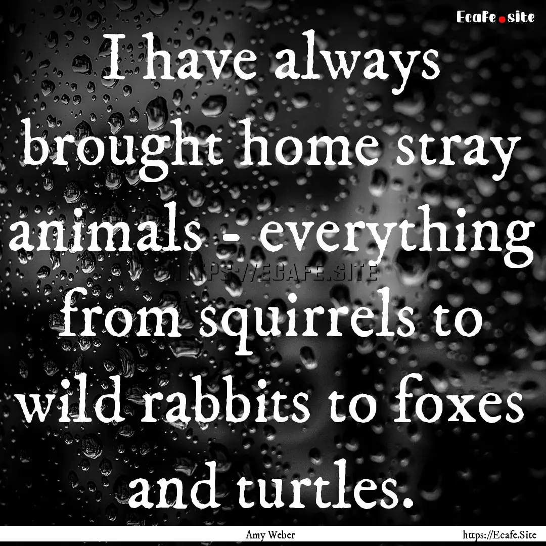 I have always brought home stray animals.... : Quote by Amy Weber