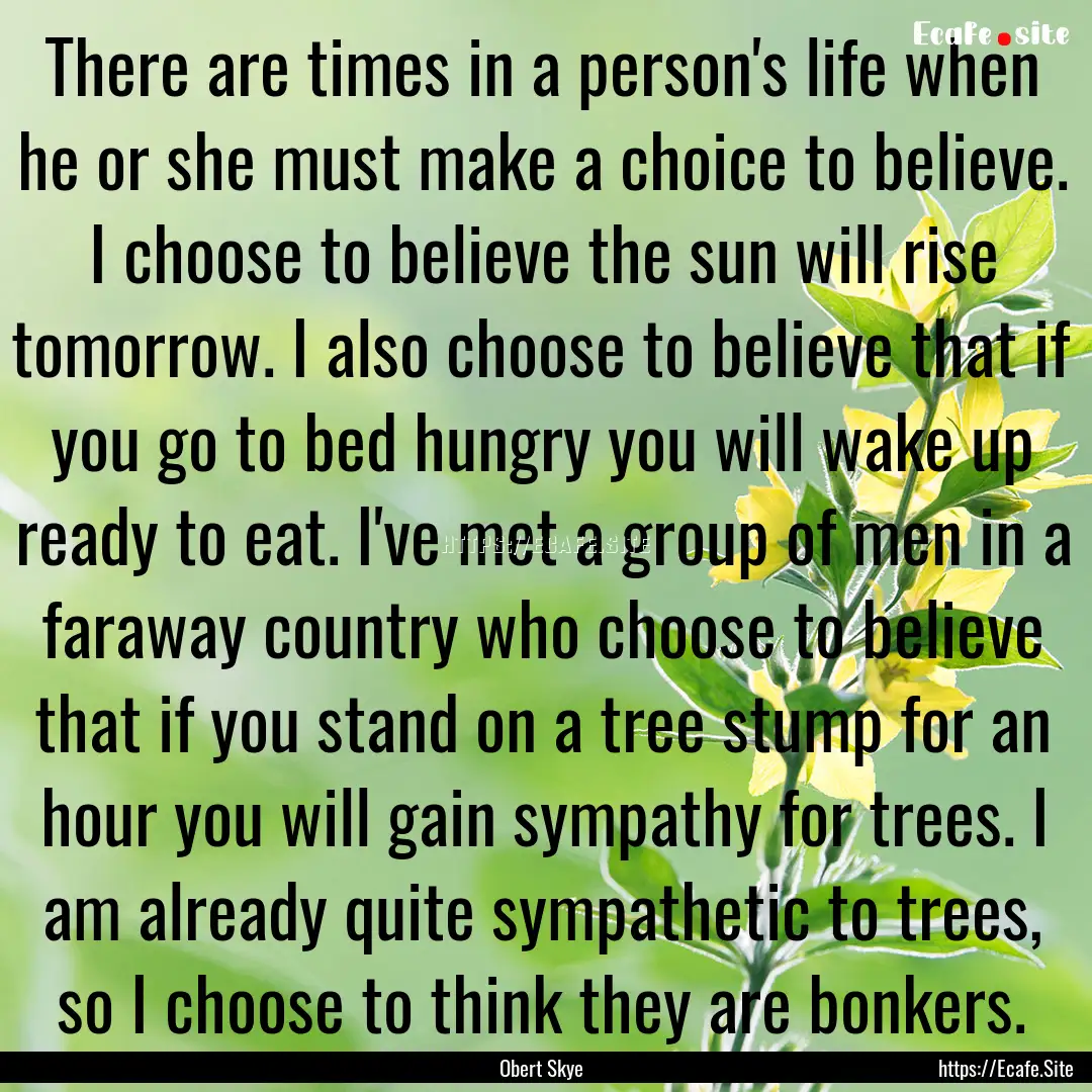 There are times in a person's life when he.... : Quote by Obert Skye