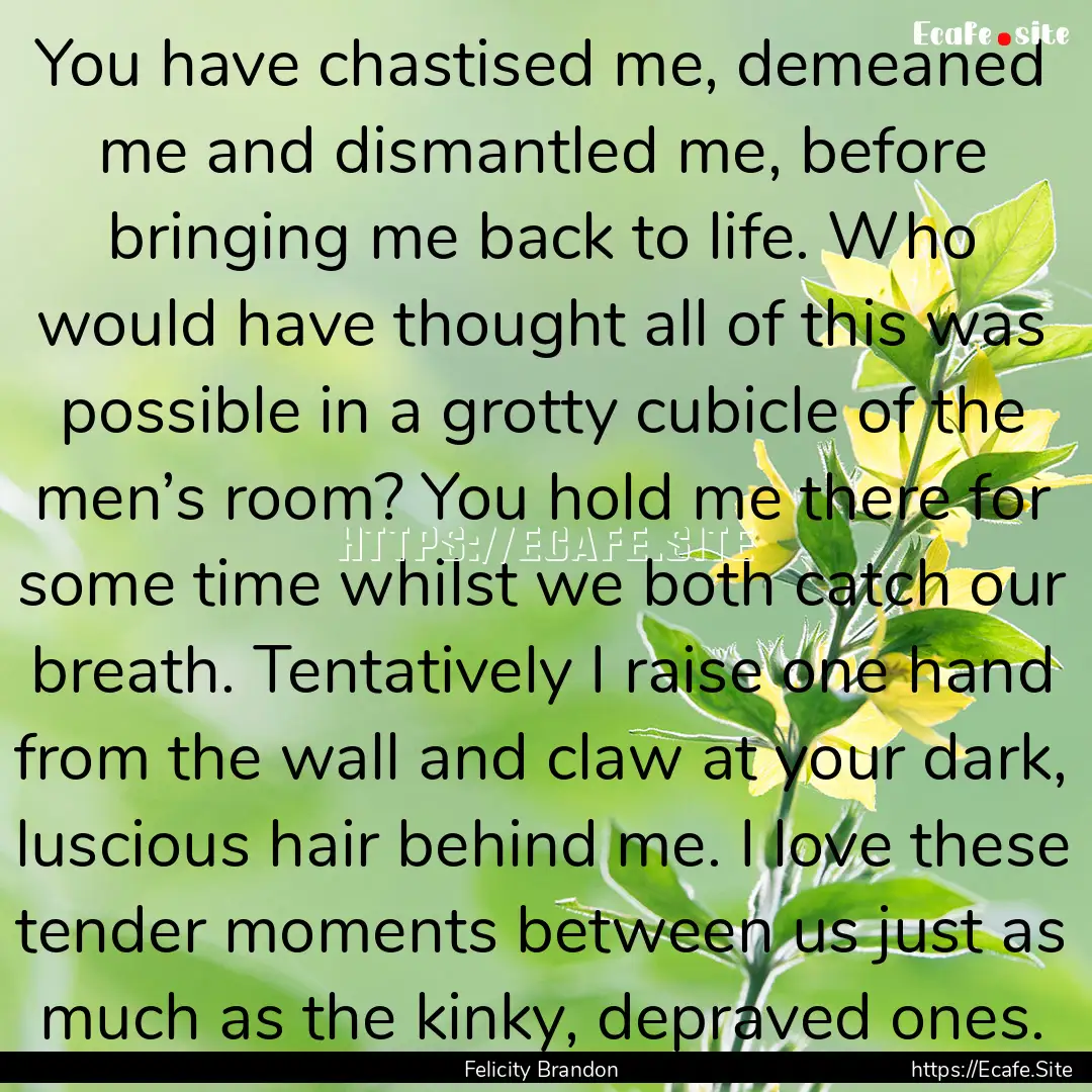 You have chastised me, demeaned me and dismantled.... : Quote by Felicity Brandon