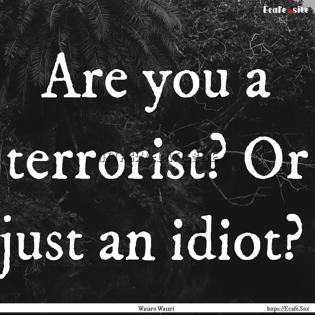 Are you a terrorist? Or just an idiot? : Quote by Wataru Watari