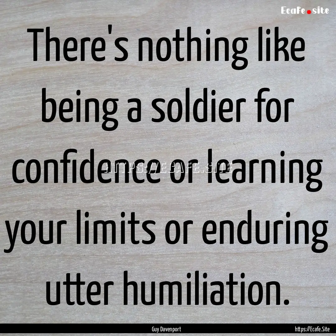 There's nothing like being a soldier for.... : Quote by Guy Davenport