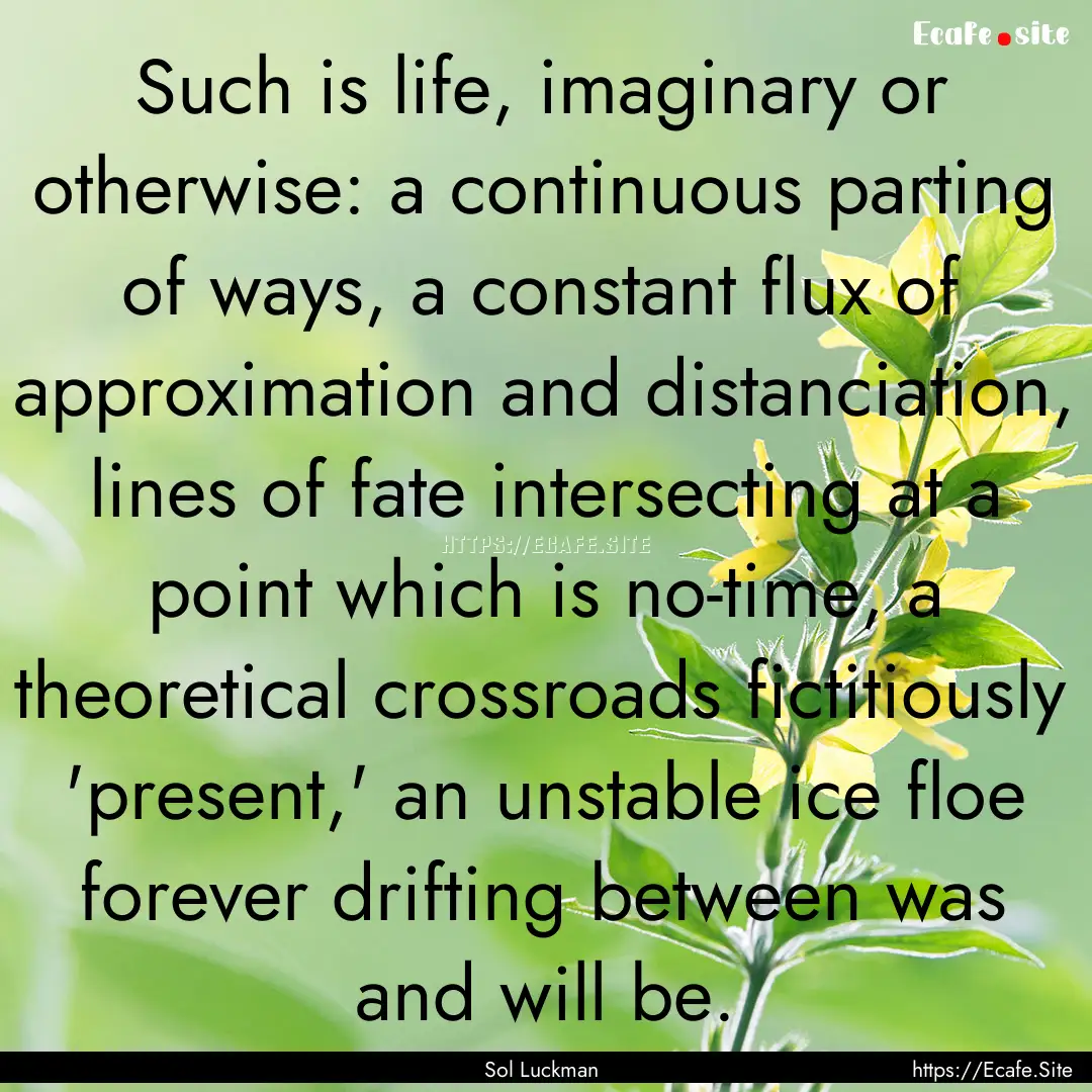 Such is life, imaginary or otherwise: a continuous.... : Quote by Sol Luckman