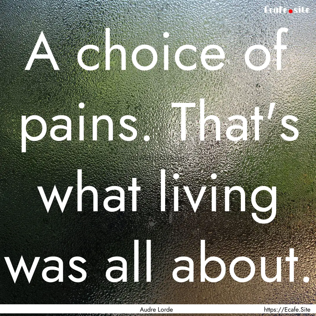 A choice of pains. That's what living was.... : Quote by Audre Lorde