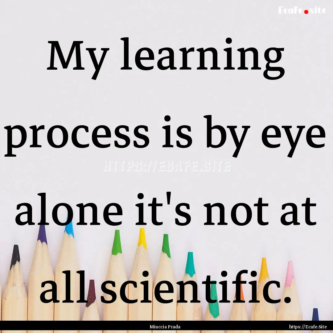 My learning process is by eye alone it's.... : Quote by Miuccia Prada