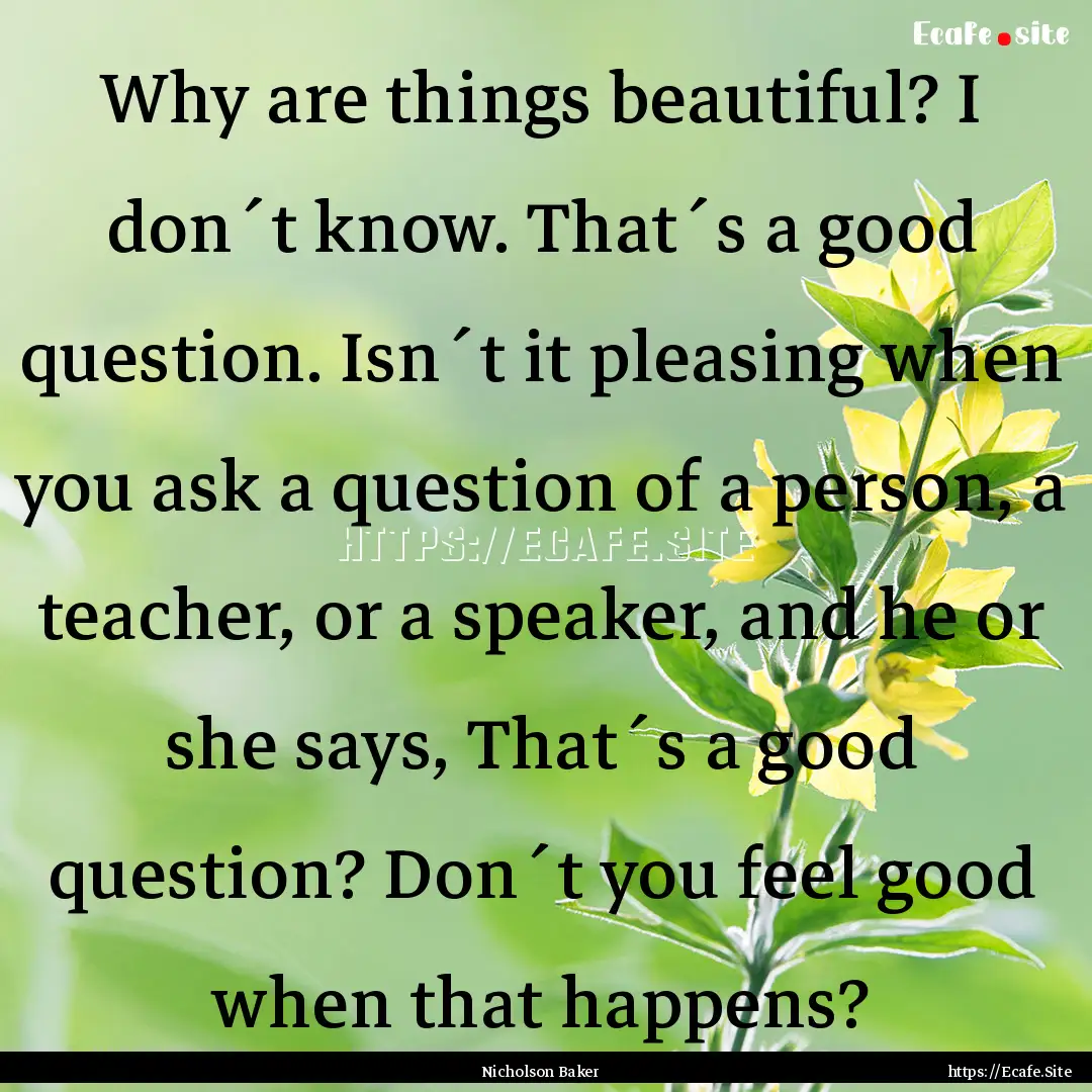 Why are things beautiful? I don´t know..... : Quote by Nicholson Baker