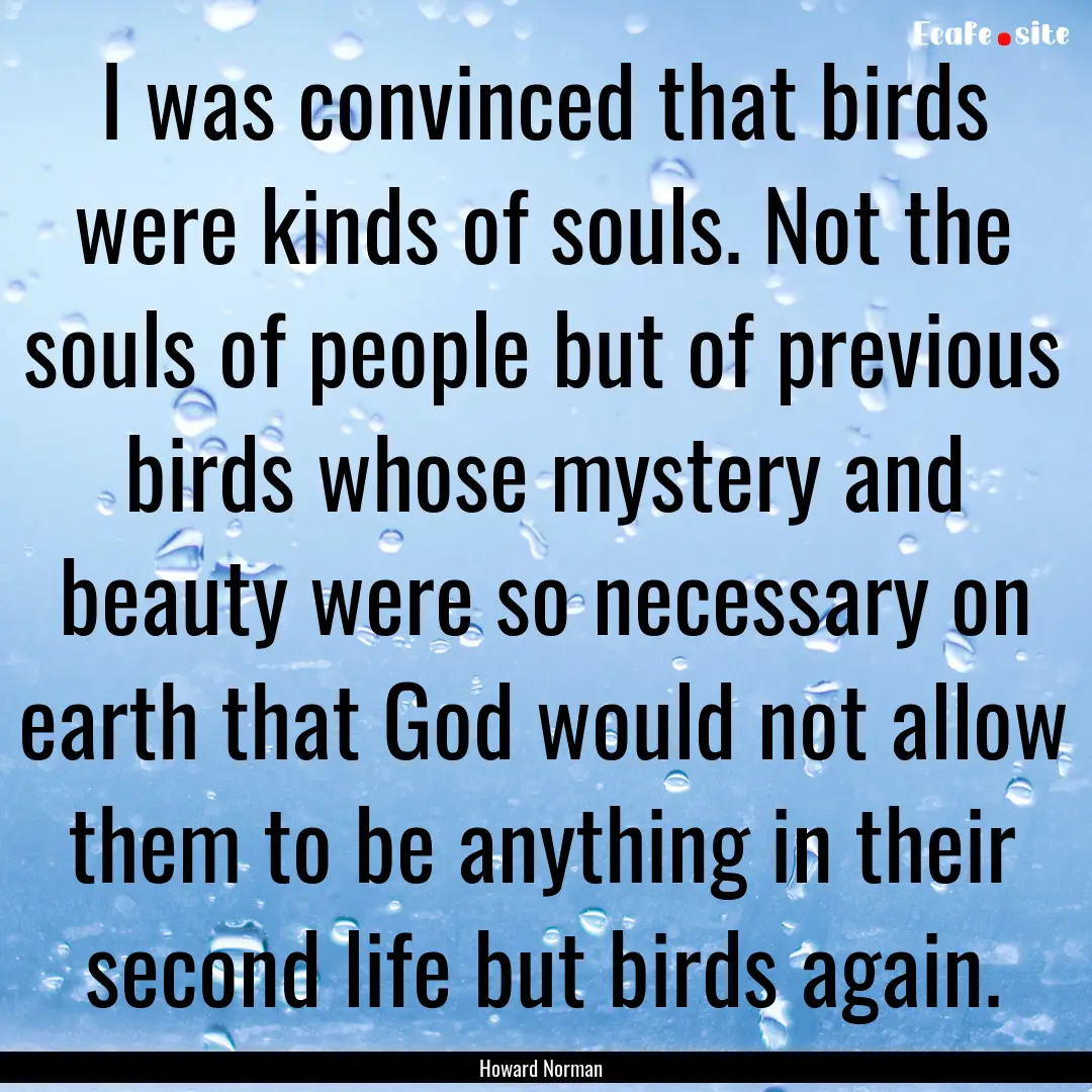 I was convinced that birds were kinds of.... : Quote by Howard Norman