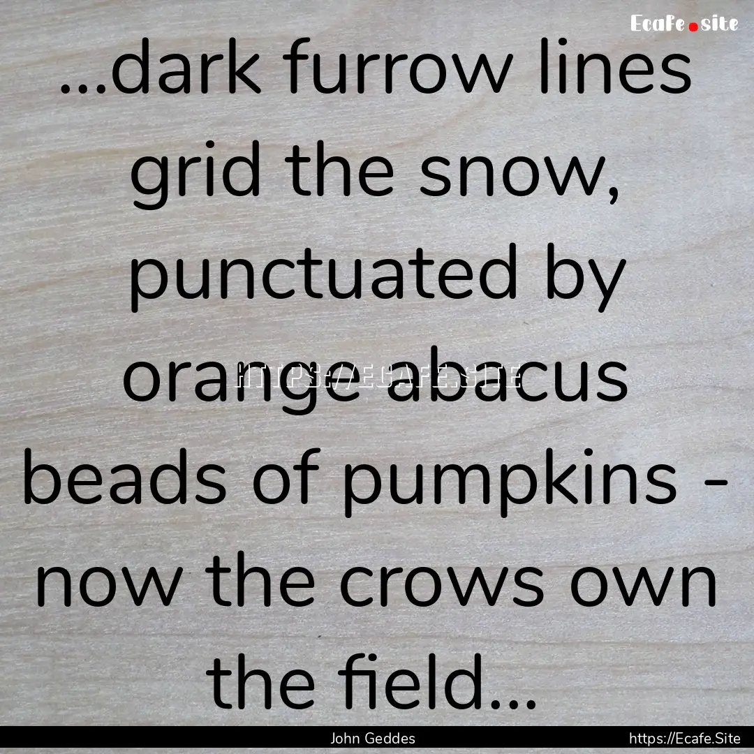 ...dark furrow lines grid the snow, punctuated.... : Quote by John Geddes