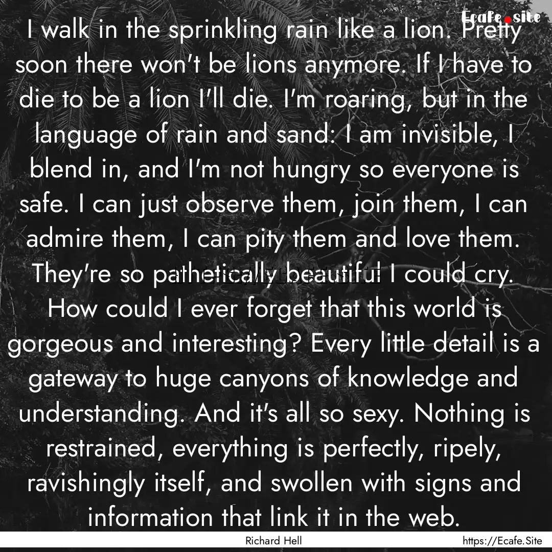 I walk in the sprinkling rain like a lion..... : Quote by Richard Hell