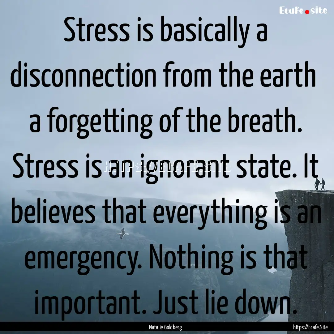 Stress is basically a disconnection from.... : Quote by Natalie Goldberg