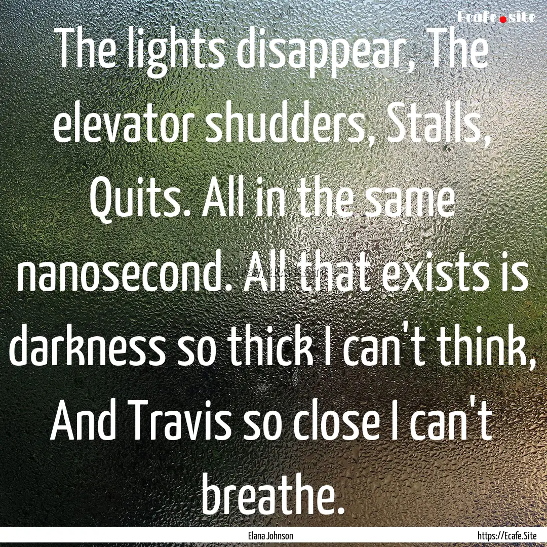 The lights disappear, The elevator shudders,.... : Quote by Elana Johnson