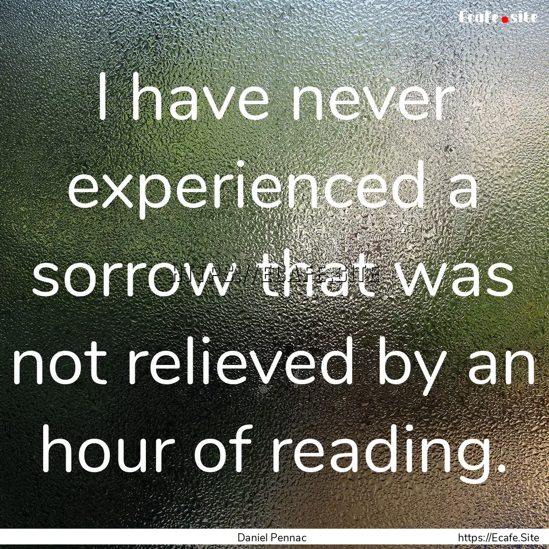 I have never experienced a sorrow that was.... : Quote by Daniel Pennac