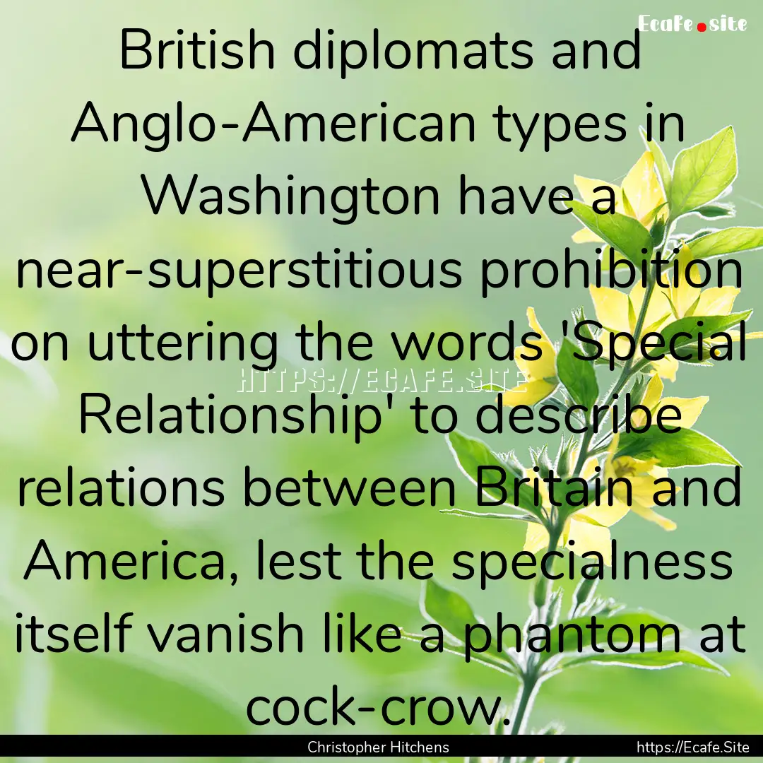 British diplomats and Anglo-American types.... : Quote by Christopher Hitchens