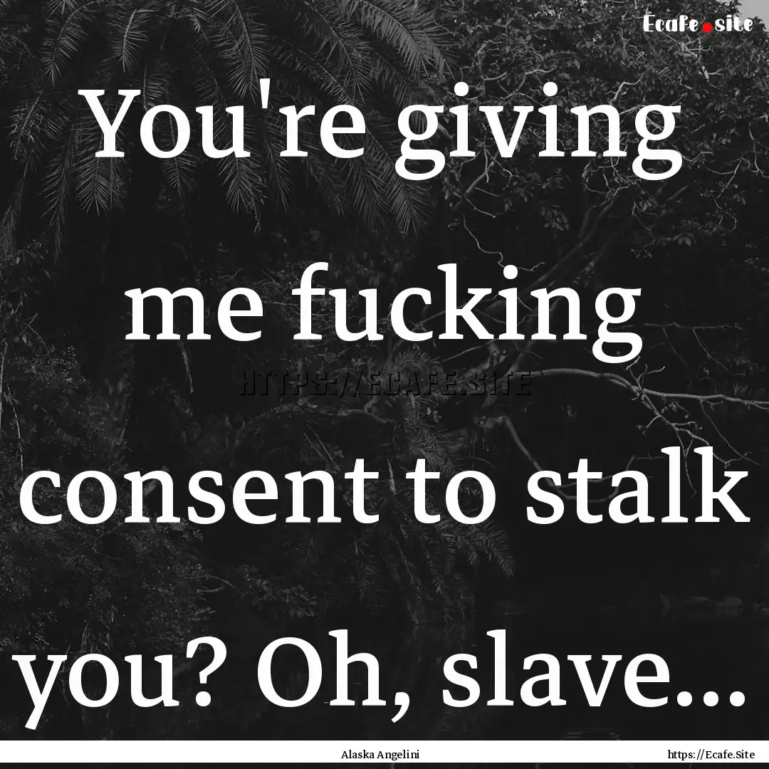 You're giving me fucking consent to stalk.... : Quote by Alaska Angelini