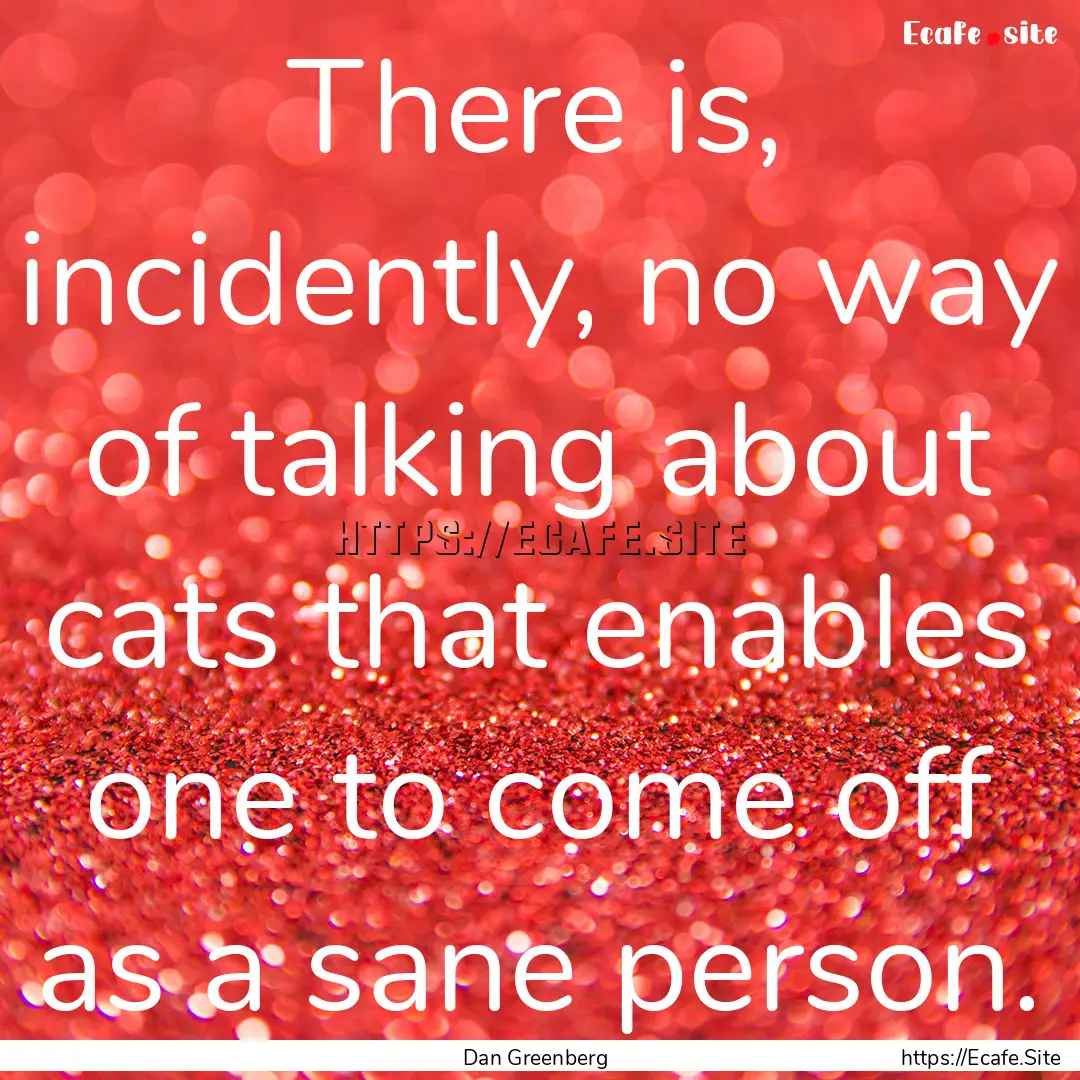 There is, incidently, no way of talking about.... : Quote by Dan Greenberg