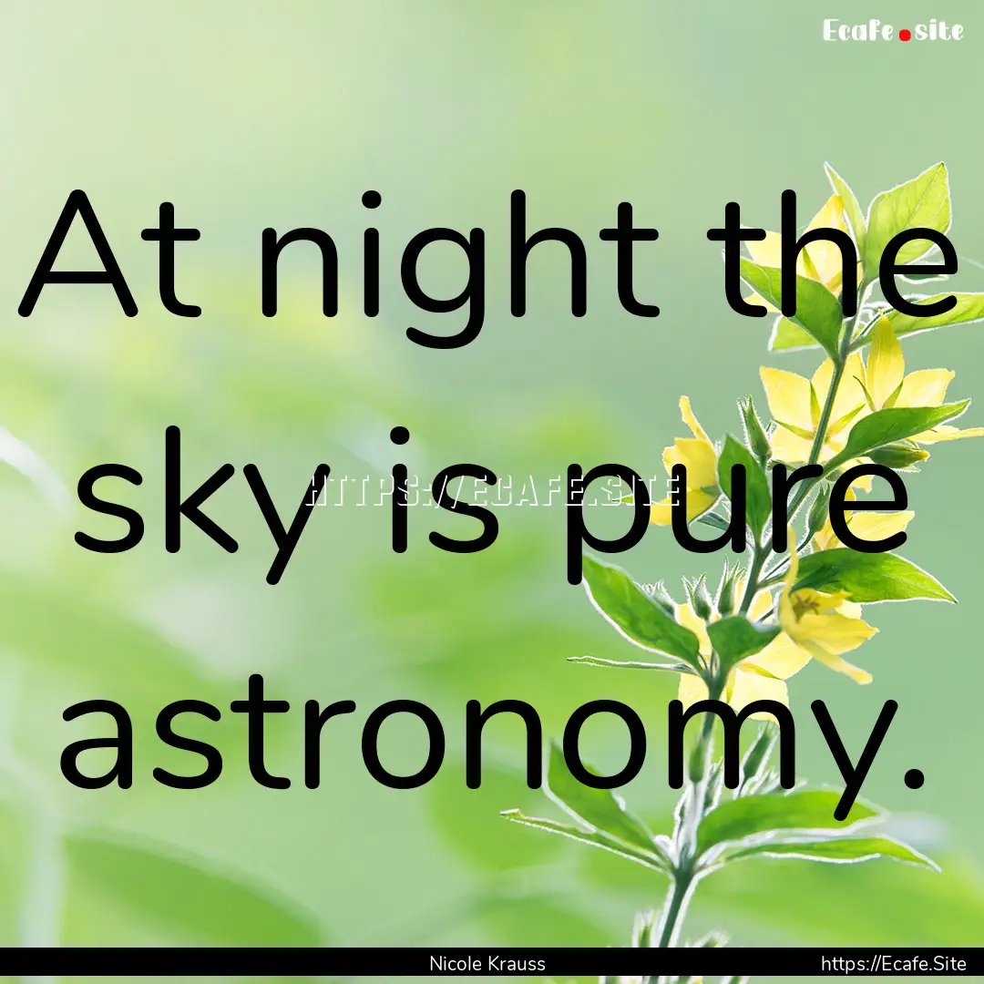 At night the sky is pure astronomy. : Quote by Nicole Krauss