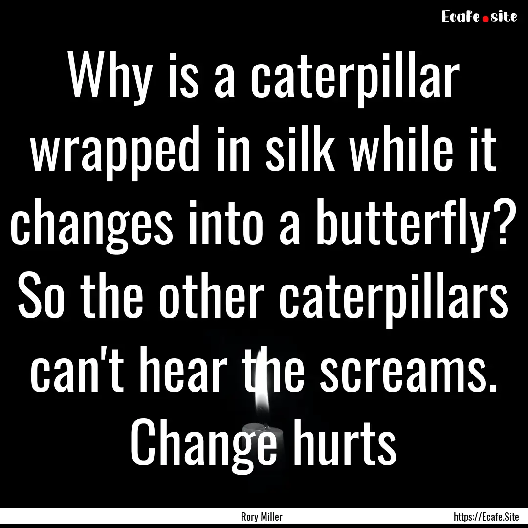 Why is a caterpillar wrapped in silk while.... : Quote by Rory Miller