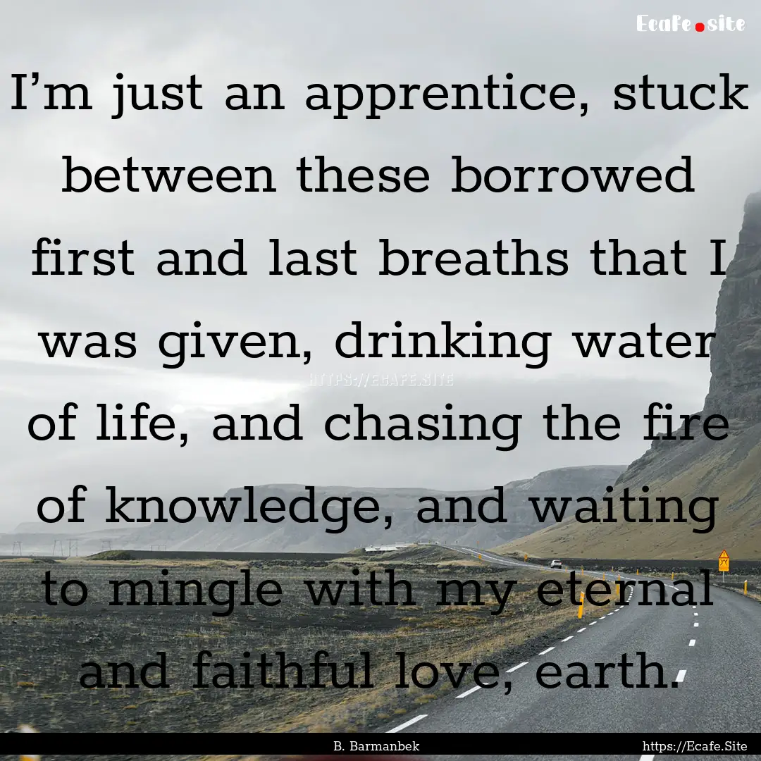 I’m just an apprentice, stuck between these.... : Quote by B. Barmanbek