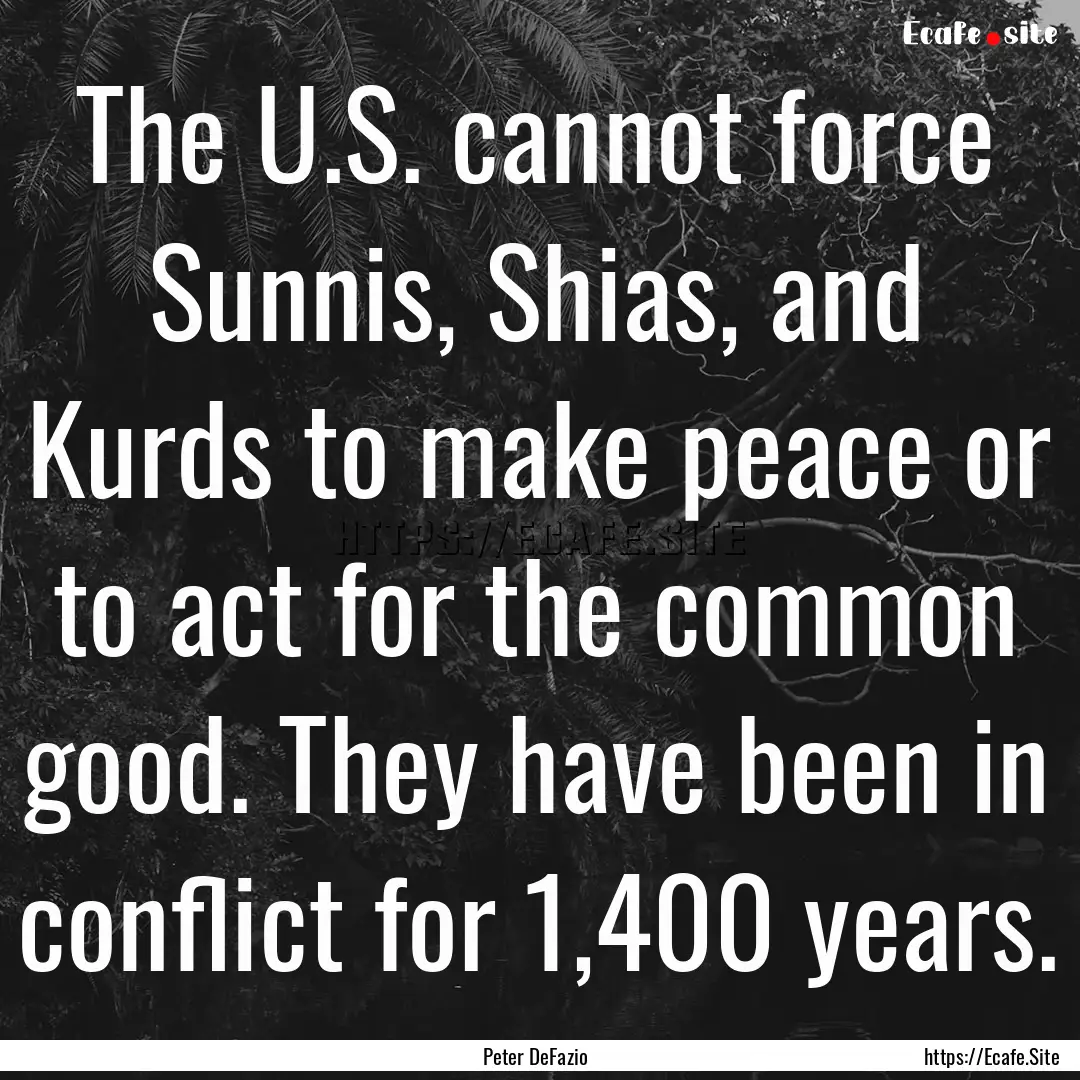 The U.S. cannot force Sunnis, Shias, and.... : Quote by Peter DeFazio