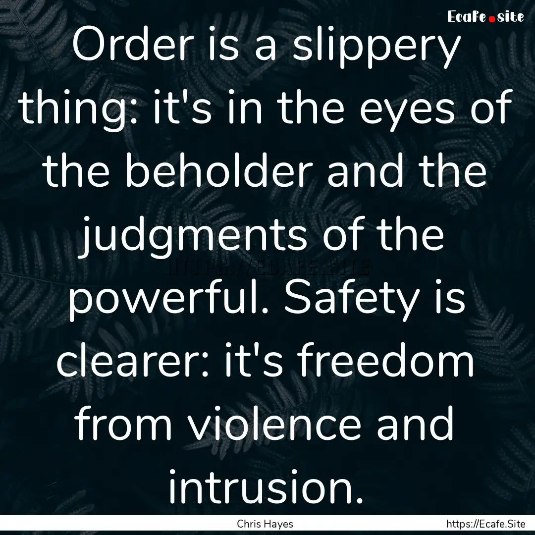 Order is a slippery thing: it's in the eyes.... : Quote by Chris Hayes