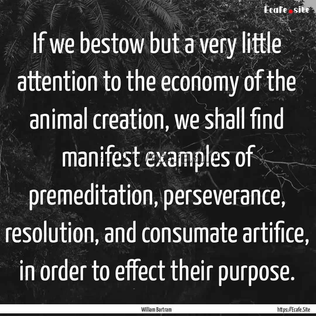 If we bestow but a very little attention.... : Quote by William Bartram