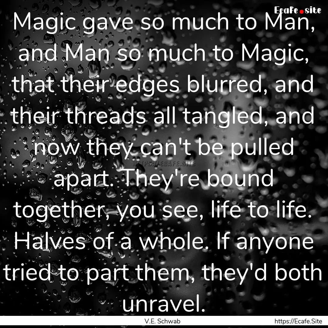 Magic gave so much to Man, and Man so much.... : Quote by V.E. Schwab