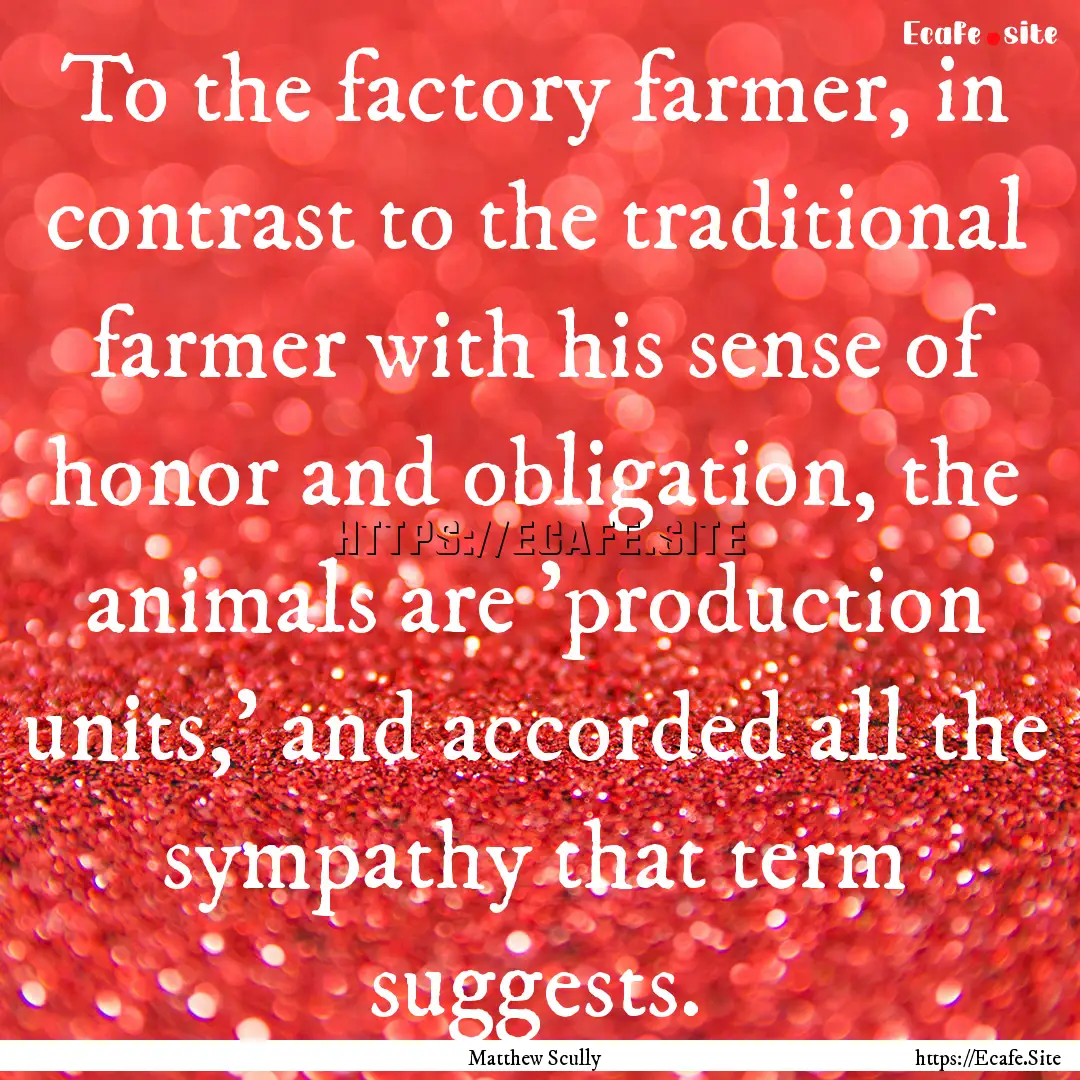 To the factory farmer, in contrast to the.... : Quote by Matthew Scully