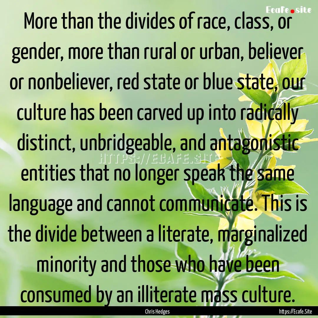 More than the divides of race, class, or.... : Quote by Chris Hedges