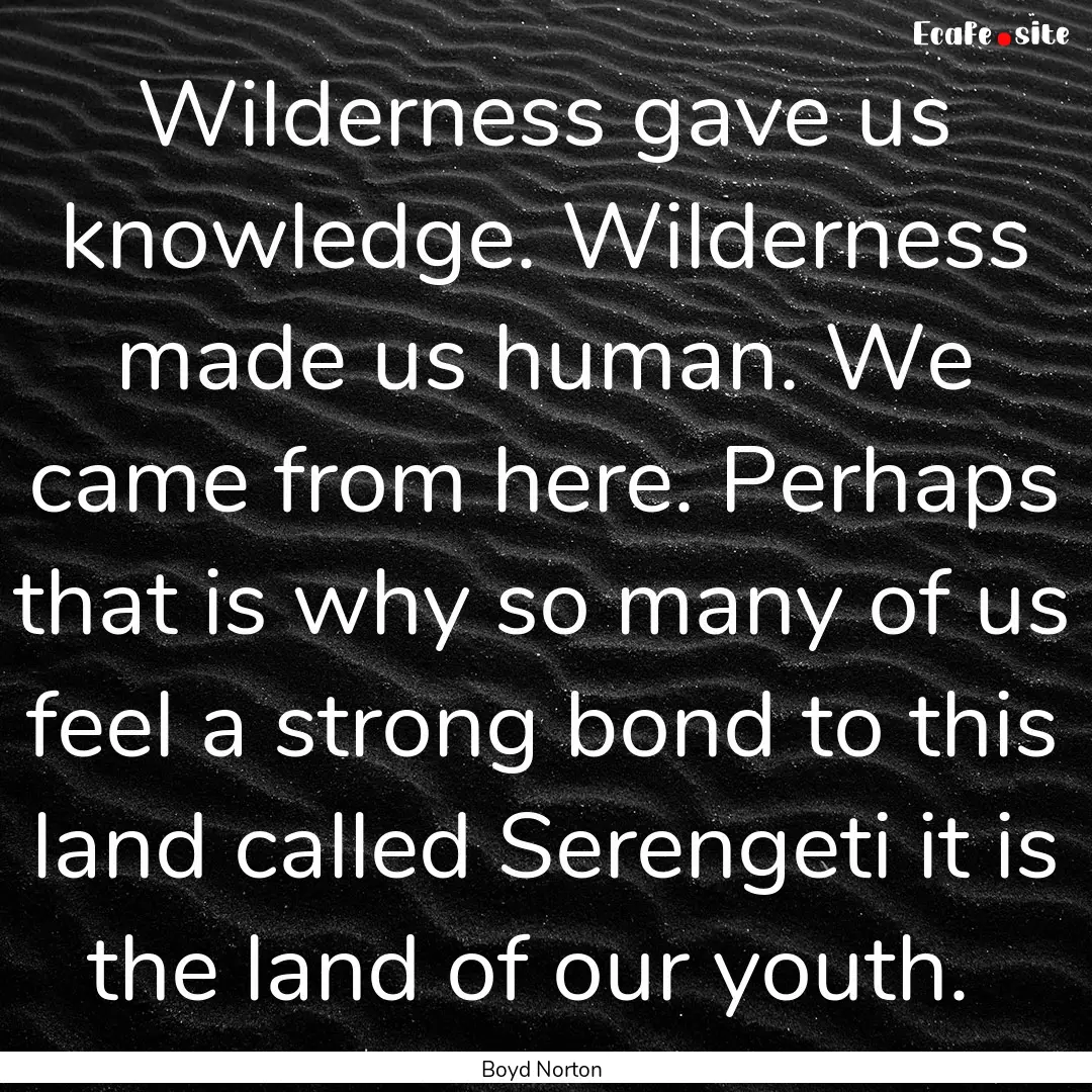 Wilderness gave us knowledge. Wilderness.... : Quote by Boyd Norton