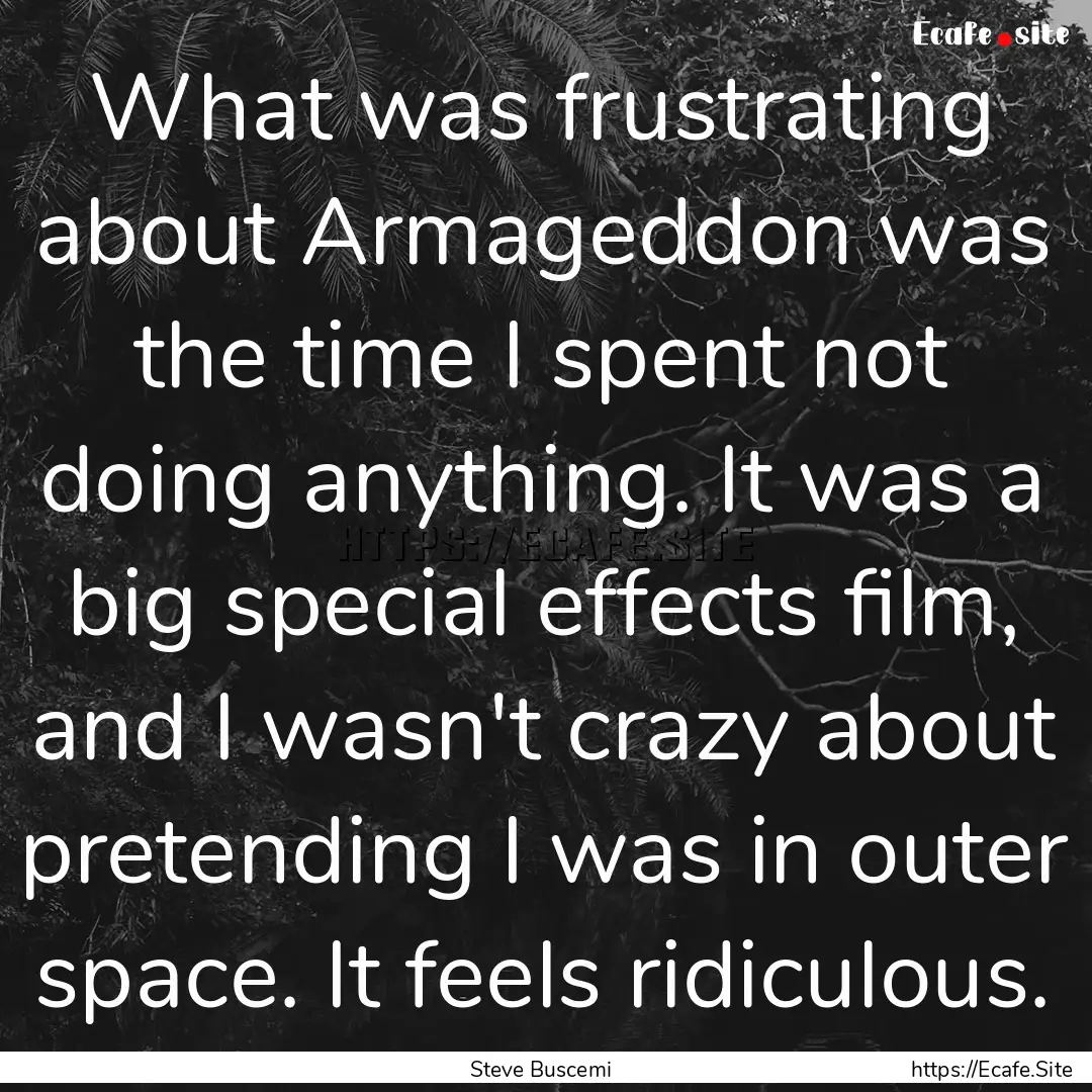 What was frustrating about Armageddon was.... : Quote by Steve Buscemi