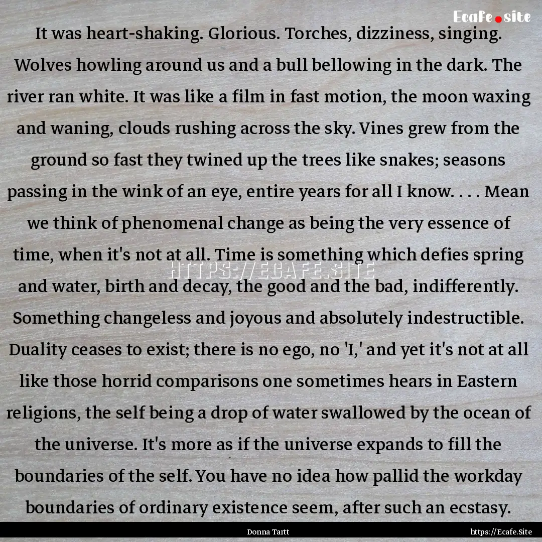 It was heart-shaking. Glorious. Torches,.... : Quote by Donna Tartt