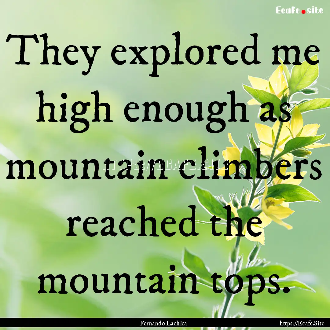 They explored me high enough as mountain.... : Quote by Fernando Lachica