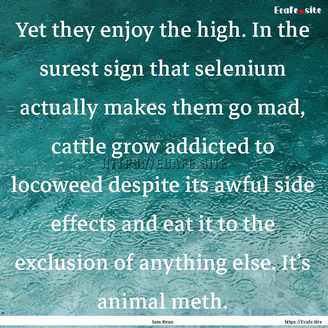 Yet they enjoy the high. In the surest sign.... : Quote by Sam Kean