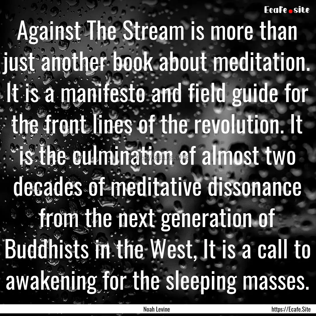 Against The Stream is more than just another.... : Quote by Noah Levine