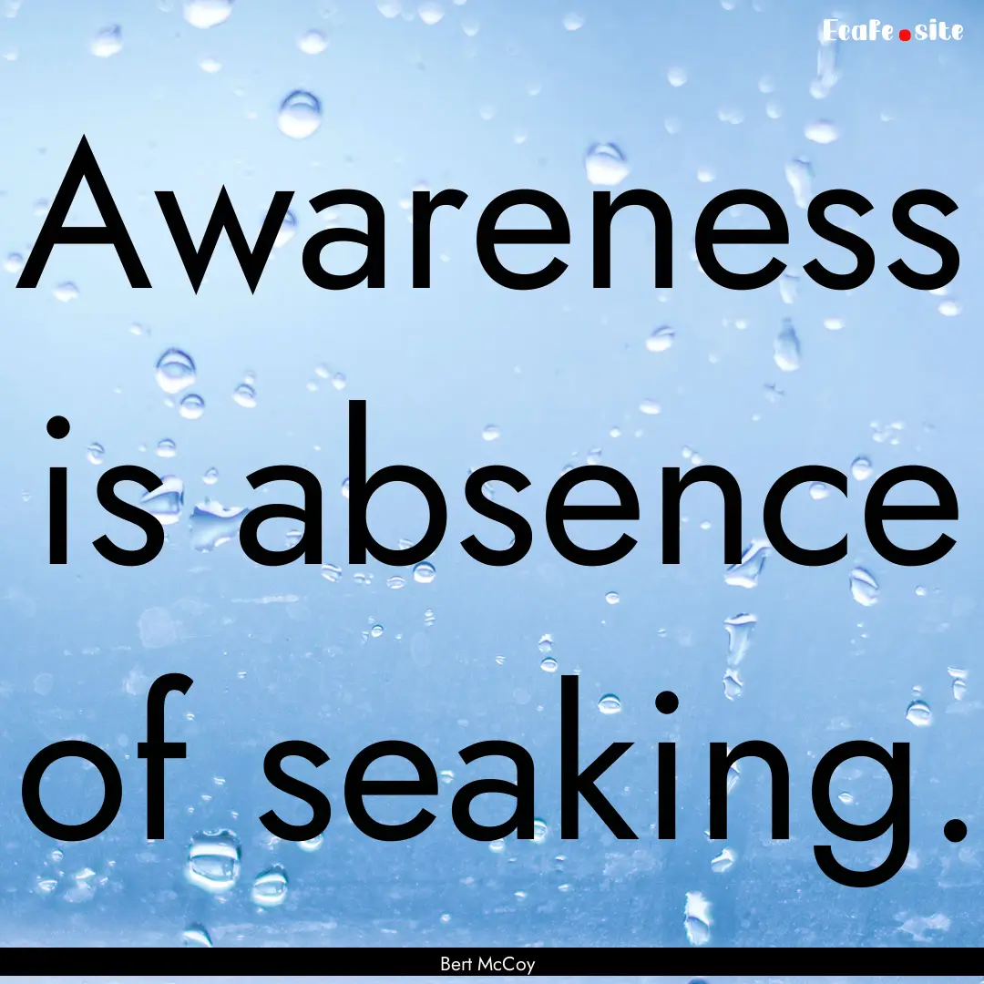 Awareness is absence of seaking. : Quote by Bert McCoy