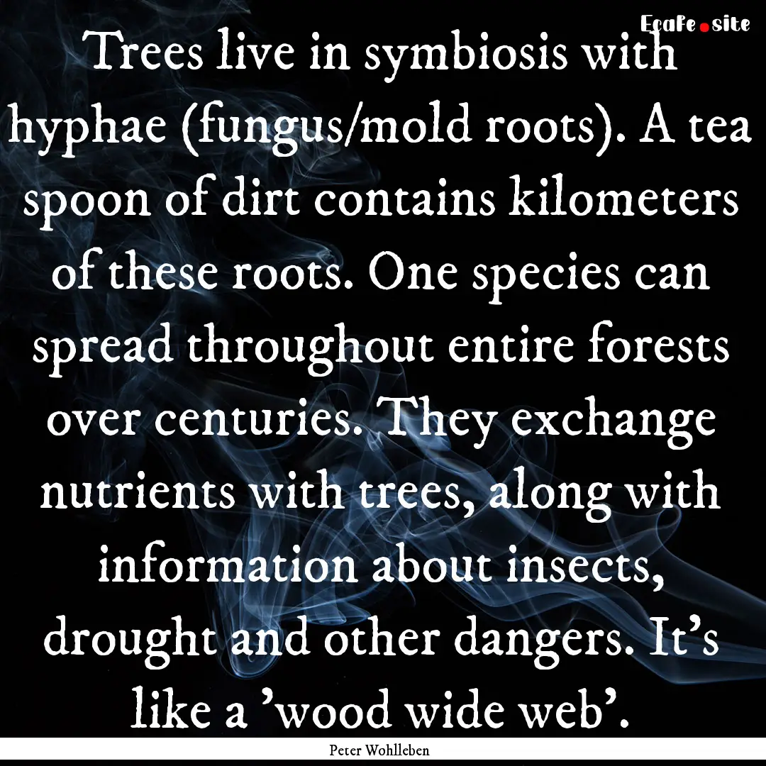 Trees live in symbiosis with hyphae (fungus/mold.... : Quote by Peter Wohlleben