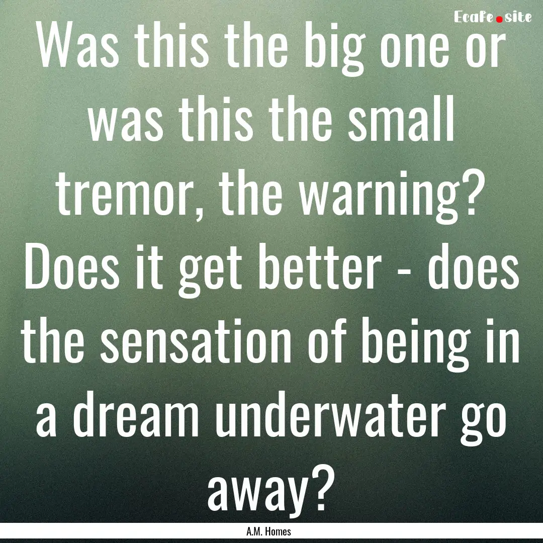 Was this the big one or was this the small.... : Quote by A.M. Homes