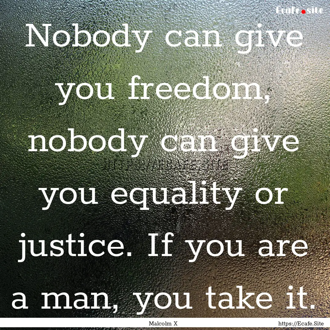 Nobody can give you freedom, nobody can give.... : Quote by Malcolm X