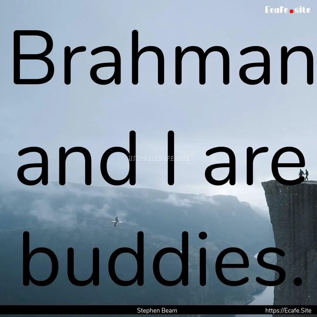 Brahman and I are buddies. : Quote by Stephen Beam